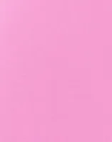 Fuchsia Pink