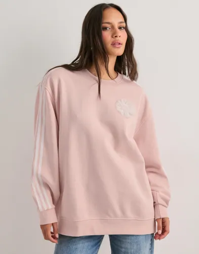 Adidas Originals - Pink - Branding Crew