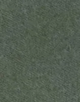Iceberg Green