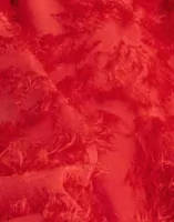 High Risk Red