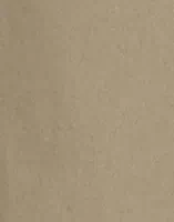 Light Sand