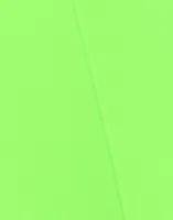 Neon Green