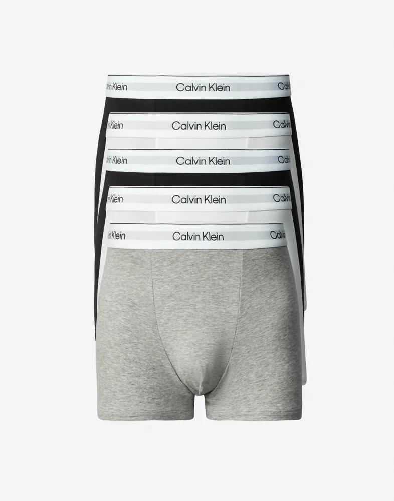 Relaxed Fit Trunk 5PK Kalsonger