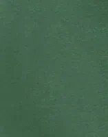 Duck Green