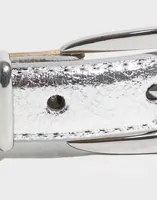 Silver Silver Trim