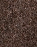 Brun