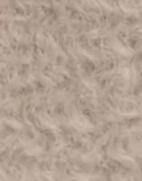 Pumice Stone