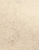 Eggshell