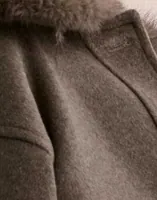 Iron