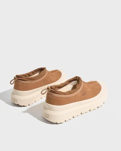 UGG M Tasman Weather Hybrid Varmfodrade tofflor herr – bild 3