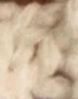 Birch