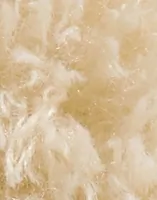 Tapioca
