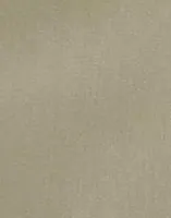 Sandshell