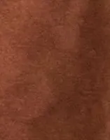 Brown Tortoise Shell