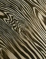Moire