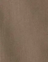 Plaza Taupe