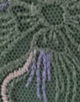 Iceberg Green