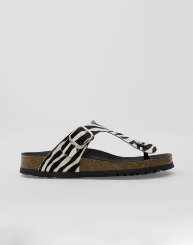 Scholl - Mønstret - Anais Animal