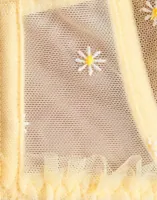 Anise flower