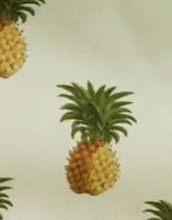 Pinacolada