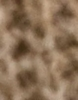 Morel Melange