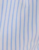 Blue Stripe