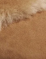 Chestnut