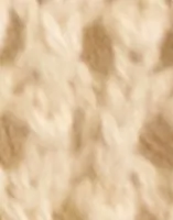 Birch