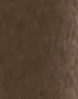 Sandshell