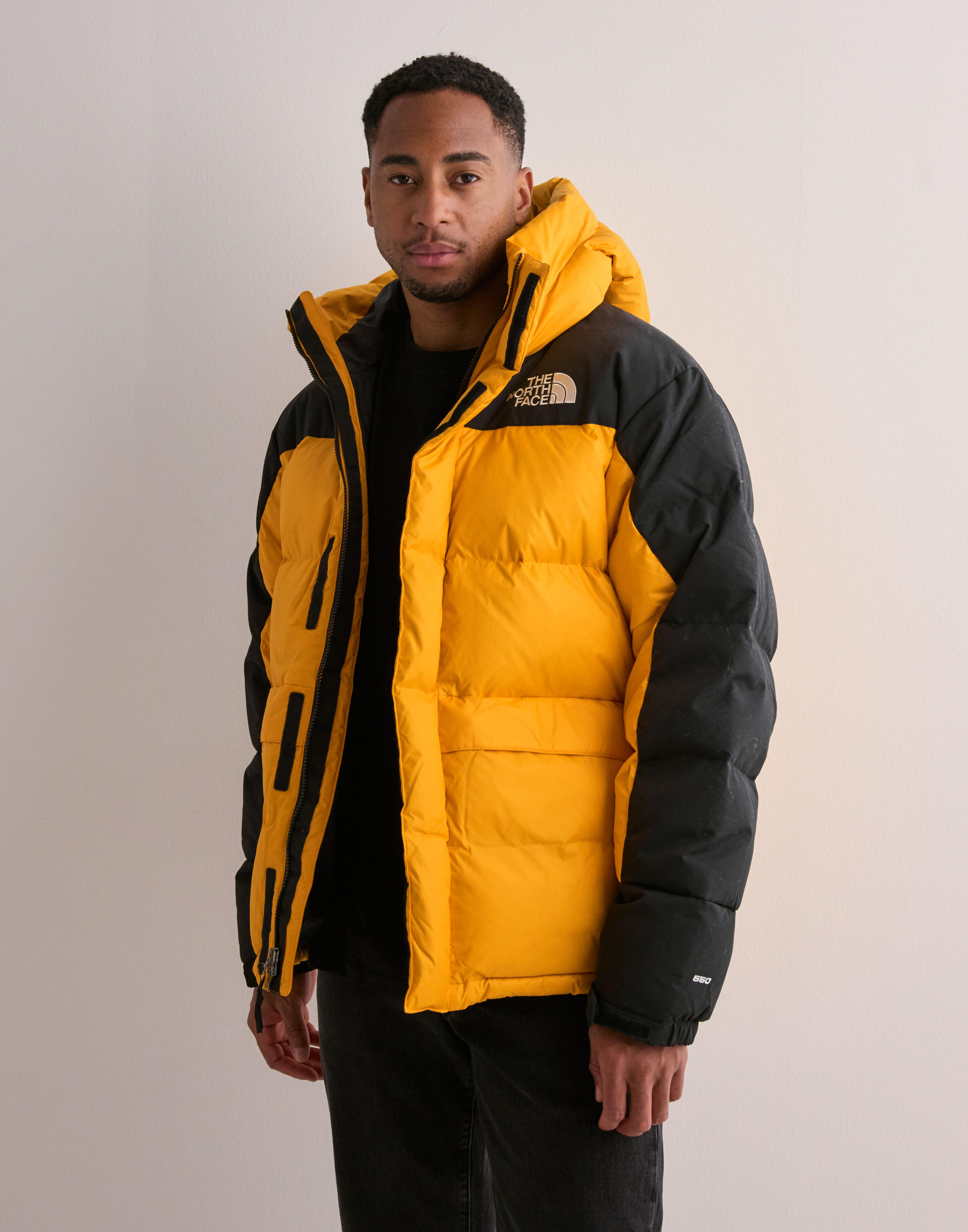 Buy The North Face Men s Hmlyn Down Parka Orange NLYMAN