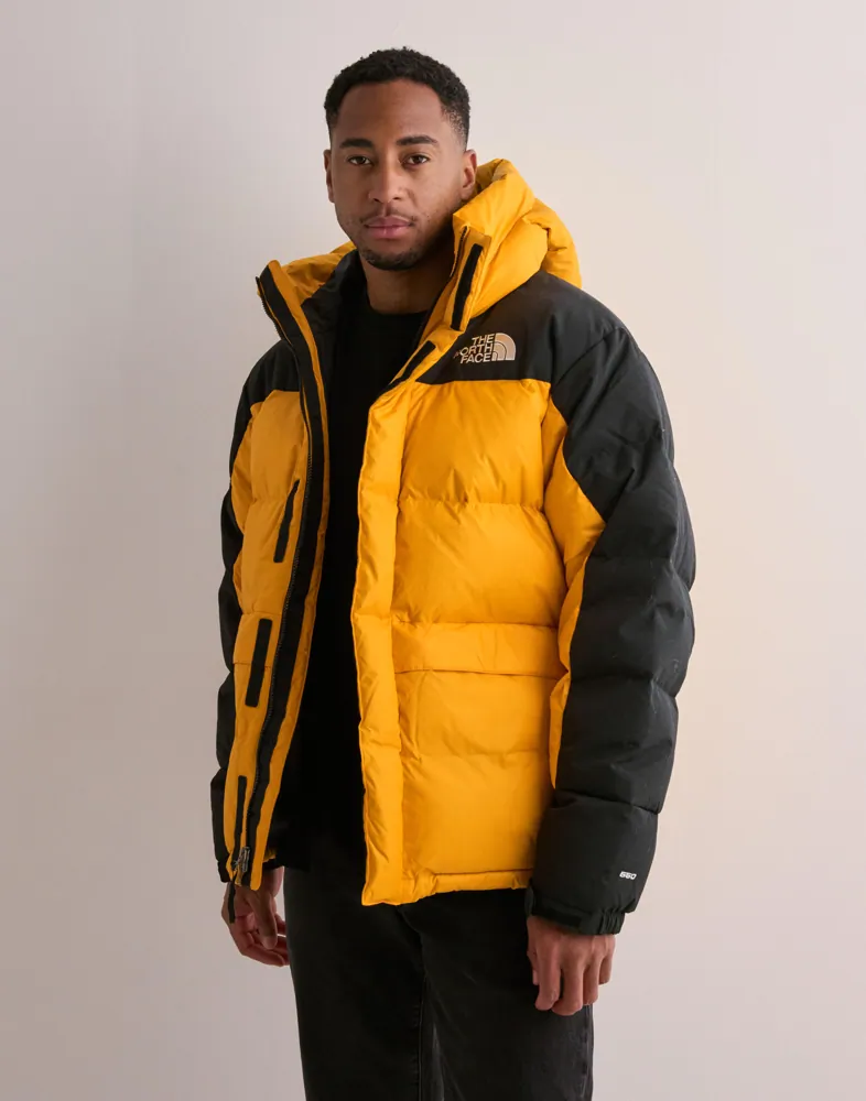 Buy The North Face Men's Hmlyn Down Parka Orange NLYMAN