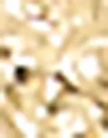 Gold Colour