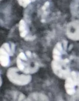 Asphalt Silver Sequins