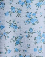 Cashmere Blue