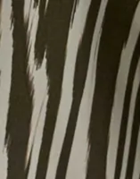 Moire