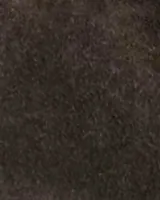 Chocolate Torte