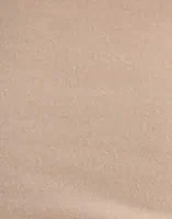 Warm Taupe