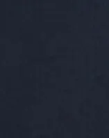 Dark Night Navy