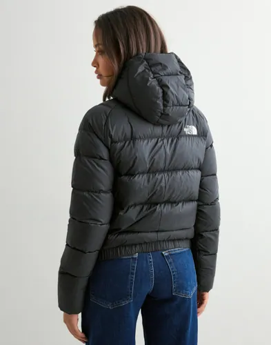 W Hyalite Down Hoodie 2