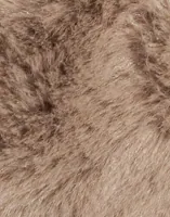 Silver Mink