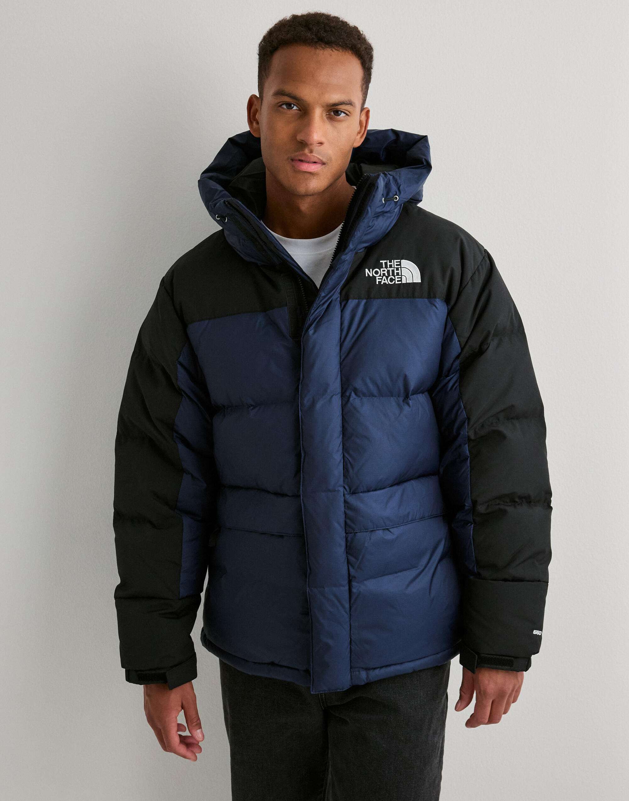 Buy The North Face M HMLYN DOWN PARKA - Navy | NLYMAN