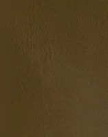Dark Olive