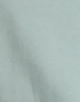 Gray Mist