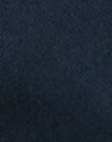 Insignia Blue