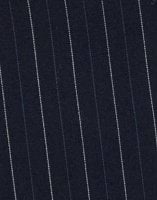 Navy Blazer Pinstripe