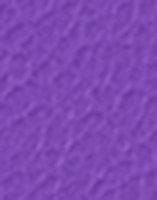 *NY*Bright Purple
