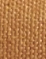 Ginger
