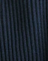Insignia Blue