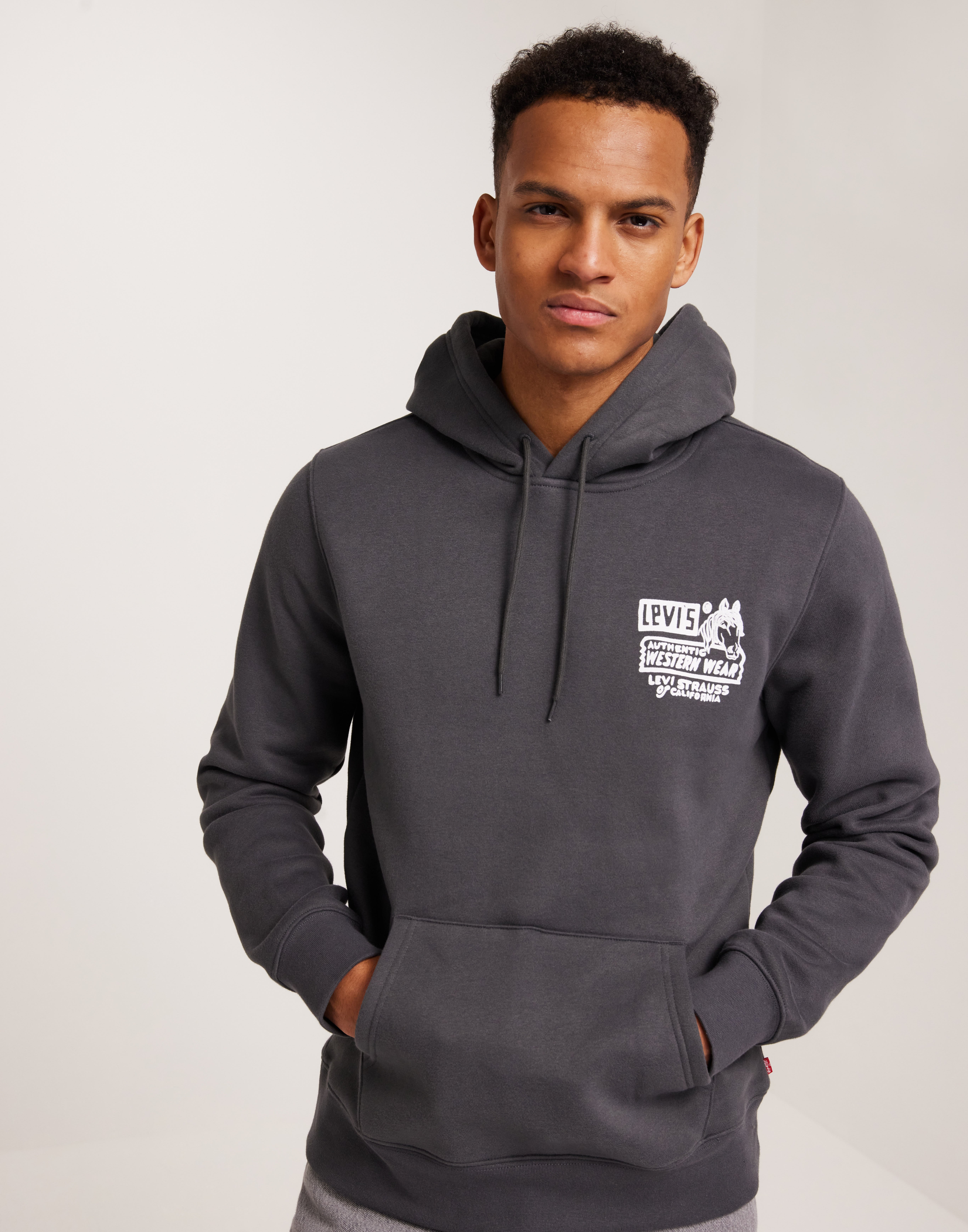 Buy Levi s STANDARD GRAPHIC HOODIE SPACE Space NLYMAN