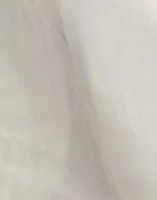 RLGH